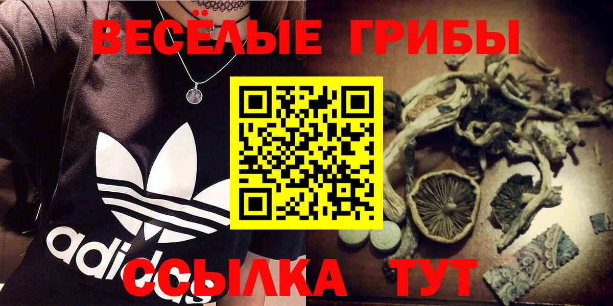 Галлюциногенные грибы GOLDEN TEACHER Урай