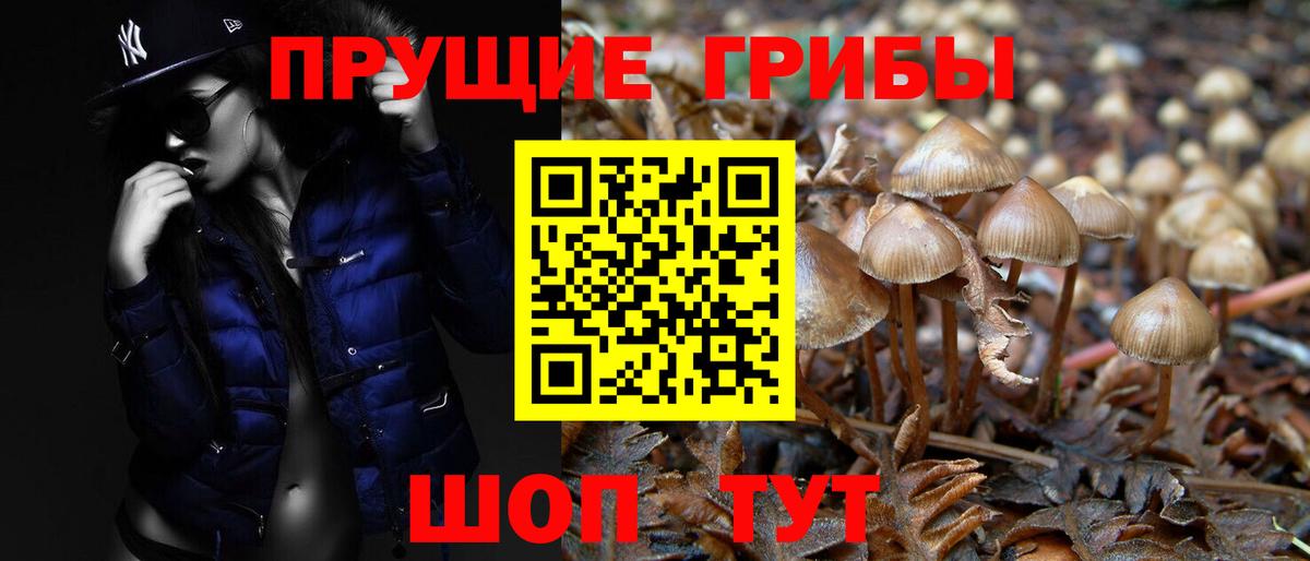 Псилоцибиновые грибы MAGIC MUSHROOMS  Псилоцибиновые грибы Psilocybe  Урай  Вход с VPN 